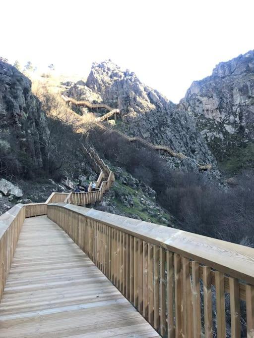Rustico T1 No Centro Cidade Guarda Zewnętrze zdjęcie