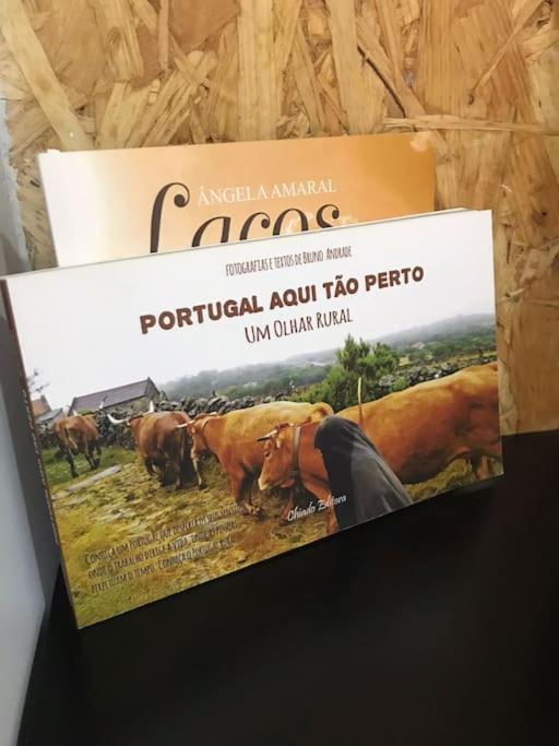 Rustico T1 No Centro Cidade Guarda Zewnętrze zdjęcie